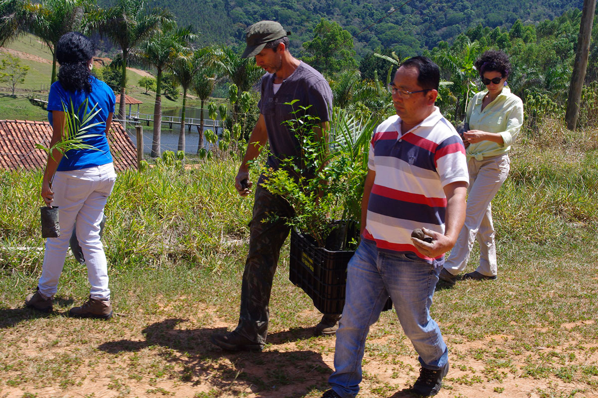 Caminhada até a área de plantio.