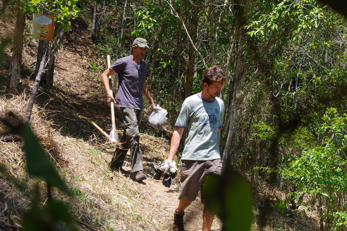 Caminhada até a área de plantio.